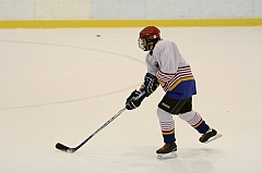 Midget1481