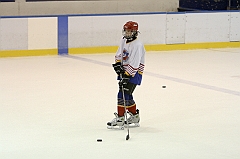 Midget1485