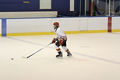 Midget1509