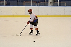 Midget1511