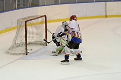 Midget1559
