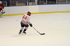Midget1571
