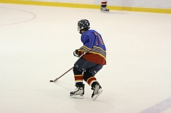 Midget1600