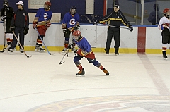 Midget1604