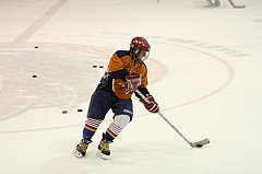 Midget1712
