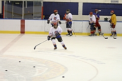 Midget1729