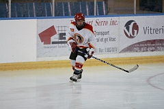 MidgetB10113