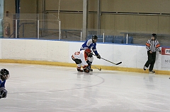 MidgetB10177