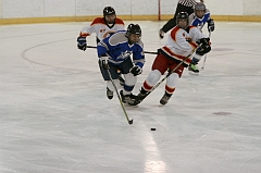 MidgetB10239