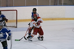 MidgetB10302