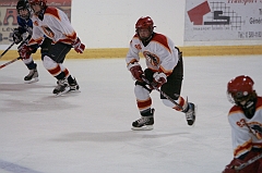 MidgetB10488