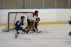MidgetB10571