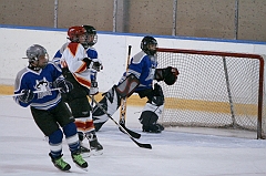 MidgetB10617