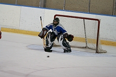 MidgetB10727