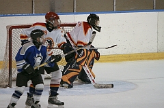 MidgetB10823