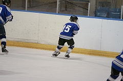 MidgetB10878