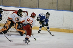 MidgetB10956