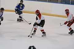 MidgetB10984