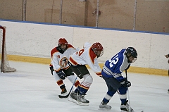 MidgetB11020