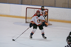 MidgetB11037