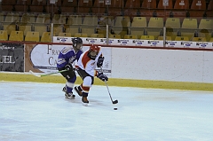 MidgetB10101