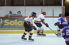 MidgetB10137