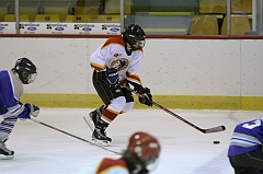 MidgetB10236