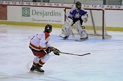 MidgetB10262