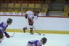 MidgetB10295