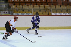 MidgetB10390