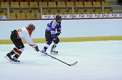 MidgetB10391