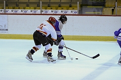 MidgetB10551