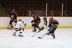 Midget_0324