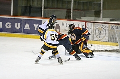 Midget_0882