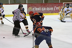 Midget_0242