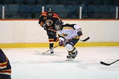 Midget_0341