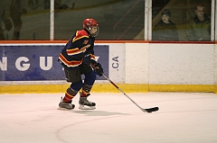 Midget_0446