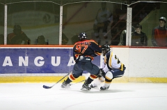 Midget_0473