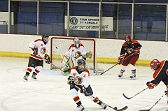 MidgetB0121