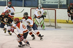 MidgetB0153