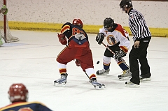 MidgetB0243
