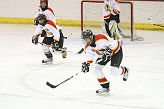 MidgetB0248