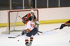 MidgetB0384