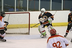 MidgetB0446
