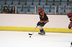 MidgetB0481