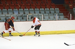 MidgetB0944