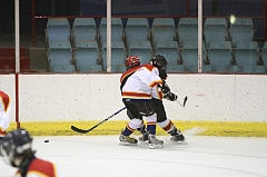 MidgetB0983