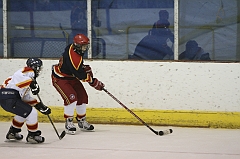 MidgetB1167