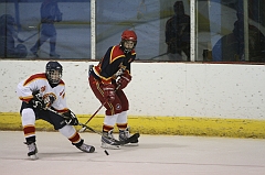 MidgetB1168