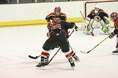 MidgetB1176